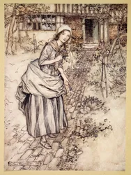 Maidens Call It Love-in-Idleness, Illustration from 